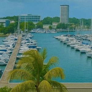 61 MARINA ROOFTOP